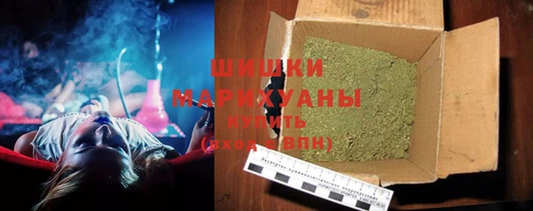дживик Ессентукская