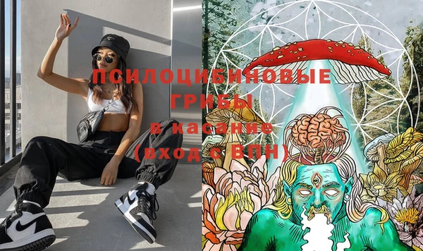 мяу мяу кристалл Новодвинск