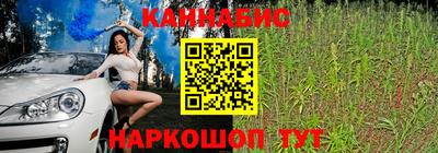 шишки Волжский