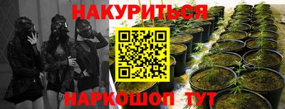 шишки Волжский