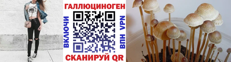 дарнет шоп  Комсомольск-на-Амуре  Галлюциногенные грибы ЛСД 