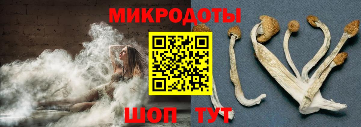 Псилоцибиновые грибы прущие грибы Комсомольск-на-Амуре